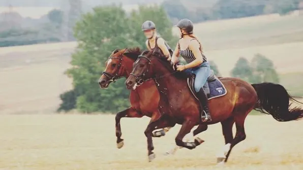 Reiter auf dem Stoppelfeld